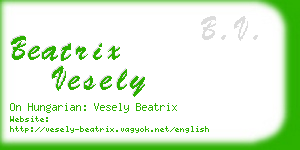beatrix vesely business card